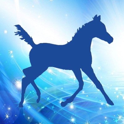 ABSS Winter Foal & Youngstock Spectacular