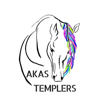 AKAS Templers